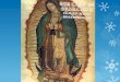 Our Lady of Guadalupe The Events  Who: Juan Diego & Mary  What: Miraculous image of Mary  When: December 1531  Where: Mexico – though some say Spain