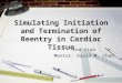 Simulating Initiation and Termination of Reentry in Cardiac Tissue Ena Xiao Mentor: David M. Chan