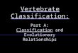 Part A: Classification and Evolutionary Relationships Vertebrate Classification: