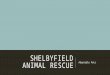 SHELBYFIELD ANIMAL RESCUE Adoptable Pets. MISSION …to rescue, rehabilitate, and re-home stray or unwanted pets. Shelbyfield Animal Rescue dedicated to