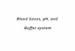 Blood Gases, pH, and Buffer system. Introduction Acid: substances that yields H ions in H 2 O. Base: yields a hydroxyl ion (OH). A buffer: the combination