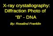 By: Rosalind Franklin X-ray crystallography: Diffraction Photo of “B” - DNA