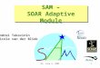 OC, June 3, 20041 SAM – SOAR Adaptive Module Andrei Tokovinin Nicole van der Bliek