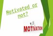 Motivated or not?.  What are the differences? Group – ‘A’ Group – ‘B’