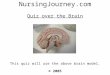 NursingJourney.com Quiz over the Brain © 2005 This quiz will use the above brain model