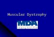 Muscular Dystrophy. The Defect Muscular dystrophy is a group of inherited disorders that involve muscle weakness and loss of muscle tissue, which get