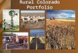 Rural Colorado Portfolio. Rural Community Legislature