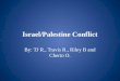 Israel/Palestine Conflict By: TJ R., Travis R., Riley B and Cherin O