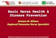 Basic Horse Health & Disease Prevention Kristen M. Wilson Regional Extension Horse Specialist “Maryland Cooperative Extension provides equal access programs”