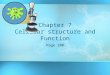 Chapter 7 Cellular structure and Function Page 180
