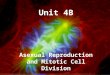 Unit 4B Asexual Reproduction and Mitotic Cell Division