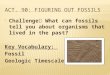 Challenge  What can fossils tell you about organisms that lived in the past? Key Vocabulary: Fossil Geologic Timescale