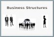 Business Structures. Types of Business Ownership Sole Proprietorship Partnership Corporation