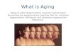 What is Aging Aging is when degeneration exceeds regeneration. Reversing the aging process requires that we minimize degenerative influences and maximize