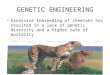 GENETIC ENGINEERING Excessive inbreeding of cheetahs has resulted in a lack of genetic diversity and a higher rate of mortality