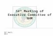 34 th Meeting of Executive Committee of NHM 16 th April, 2013