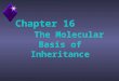 Chapter 16 The Molecular Basis of Inheritance. Question? u Traits are inherited on chromosomes, but what in the chromosomes is the genetic material?