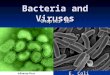 Bacteria and Viruses Chapter 18 E. Coli. What is a Virus? Nonliving particle—Why not alive? Nonliving particle—Why not alive? No respiration No respiration