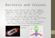 Bacteria and Viruses Bacteria and viruses are often lumped together into one group by the general public as “things that make you sick”. Even so, bacteria