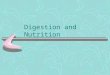Digestion and Nutrition Ruminant digestive system Mouth- bites and chews food Rumen- large part of ruminant’s stomach where bacteria change large amounts