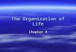 The Organization of Life Chapter 4. Ecosystems  Ecosystem- all the organisms living in an area together with their physical environment.  Ecosystems