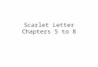 Scarlet Letter Chapters 5 to 8. Areas of Concern giving rise to Conflict The private self versus public role Hester’s identity is her inner life (Her