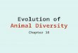 Evolution of Animal Diversity Chapter 18. Animal Evolution Basics Animal Evolution was rapid, occurring ~ 600 million years ago (Precambrian Era) Evidence