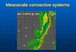 Mesoscale convective systems. Review of last lecture 1.3 stages of supercell tornado formation. 1.Tornado outbreak (number>6) 2.Tornado damage: Enhanced
