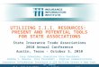 UTILIZING I.I.I. RESOURCES: PRESENT AND POTENTIAL TOOLS FOR STATE ASSOCIATIONS State Insurance Trade Associations 2010 Annual Conference Austin, Texas