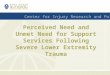 Center for Injury Research and Policy Perceived Need and Unmet Need for Support Services Following Severe Lower Extremity Trauma