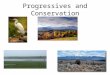 Progressives and Conservation. Progressives and the Wilderness Need to save the wilderness and environment Business interests would use up to make $ Congress