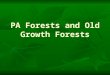 PA Forests and Old Growth Forests. Before class, get started on… Take out your Field Study Lab and turn it in up front. Take out your Field Study Lab