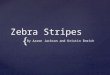 { Zebra Stripes By Aaron Jackson and Kristin Emrich