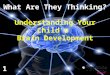 What Are They Thinking? Understanding Your Child’s Brain Development 1