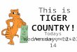 This is TIGER COUNTRY ! Todays Announcements Wednesday, 12-03-14