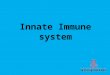Innate Immune system. Overview of the immune system Immune system Innate (nonspecific) 1 st line of defense Cellular components Humoral components Adaptive