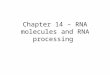 Chapter 14 – RNA molecules and RNA processing. Gene organization Francis Crick – 1958 –Nucleotide sequence of a gene directly codes for amino acid sequence