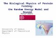 University of Geneva Department of Theoretical Physics The Biological Physics of Protein Folding: the Random Energy Model and Beyond Péter HANTZ
