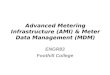 Advanced Metering Infrastructure (AMI) & Meter Data Management (MDM) ENGR83 Foothill College