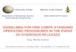 GUIDELINES FOR FIRE CORPS STANDARD OPERATING PROCEDURES IN THE EVENT OF HYDROGEN RELEASES International Conference on Hydrogen Safety - San Sebastian,