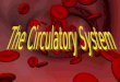 The Circulatory System. Function  Consists of the heart and blood vessels  Carries oxygen and nutrients to the body’s cells and remove carbon dioxide