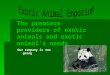 The premiere providers of exotic animals and exotic animal’s needs Our company is now going GREEN