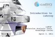 Introduction to caArray caBIG ® Molecular Analysis Tools Knowledge Center April 3, 2011