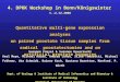 4. DPKK Workshop in Bonn/Königswinter 1.-2.12.2006 Quantitative multi-gene expression analyses on paired prostate tissue samples from radical prostatectomies