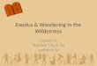 Lesson 14 Number 1-6, 8, 10 Leviticus 26 Exodus & Wandering in the Wilderness