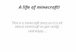 A life of minecraft! This is a minecraft story so it is all about minecraft so get comfy and enjoy…