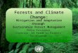 Forests and Climate Change: Mitigation and Adaptation through Sustainable Forest Management Pekka Patosaari Director, UN Forum on Forests Secretariat 6