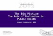The Big Picture The Role of Evaluation in Public Health Luann D’Ambrosio, MEd