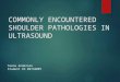 COMMONLY ENCOUNTERED SHOULDER PATHOLOGIES IN ULTRASOUND Teena Anderson Student ID 09734007