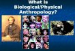 What is Biological/Physical Anthropology? What is Anthropology? Scientific study of the origin, behavior, physical variation, and cultural development